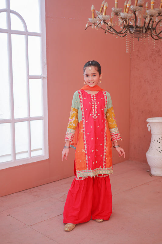 Multi Colour Gharara-KG 013