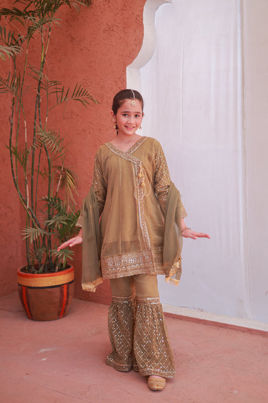 Copper Brown Gharara-KG 014