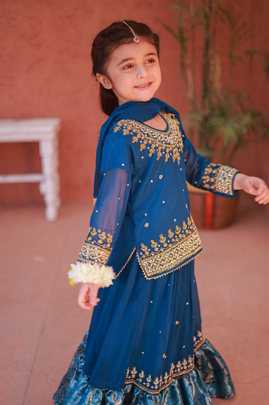 Blue Lehenga-KL 003