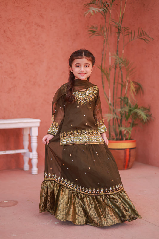 Mehendi Brown Gharara-KL 005