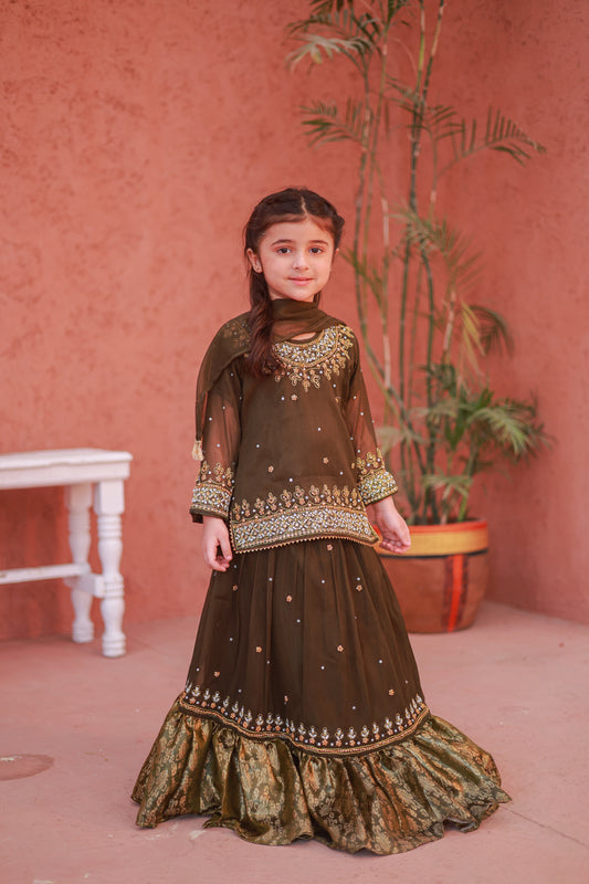 Mehendi Brown Gharara-KL 005