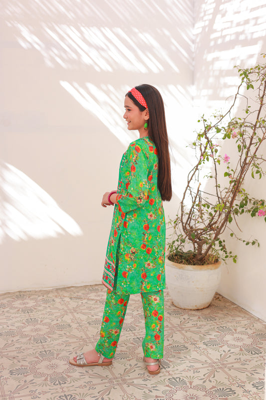 Apple Green Embroidered 2pcs suit-KST 010